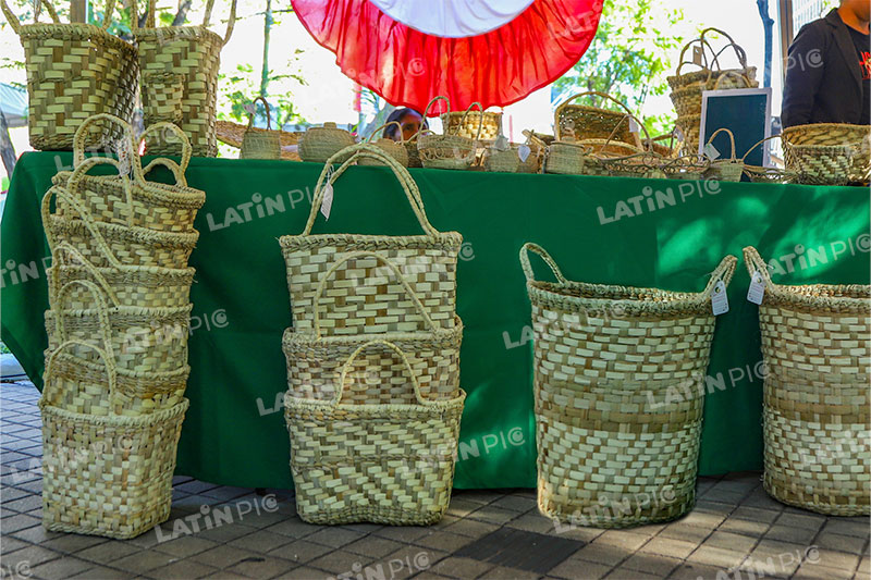 mimbre-canastas-artesanales-fibra-vegetal-artesania-paraguaya-01