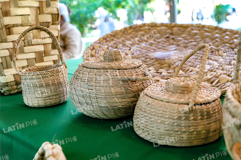 mimbre-canastas-artesanales-fibra-vegetal-artesania-paraguaya-03