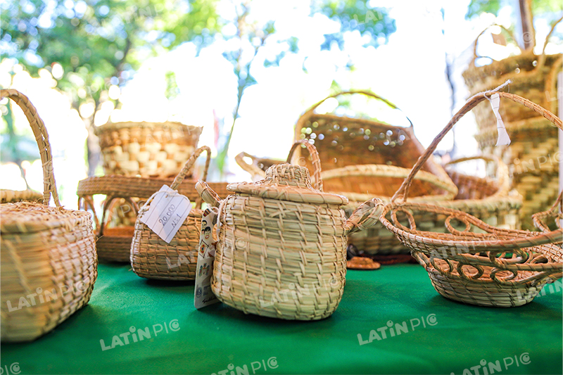 Mimbre-canastas-artesanales-fibra-vegetal-artesania-paraguaya-04
