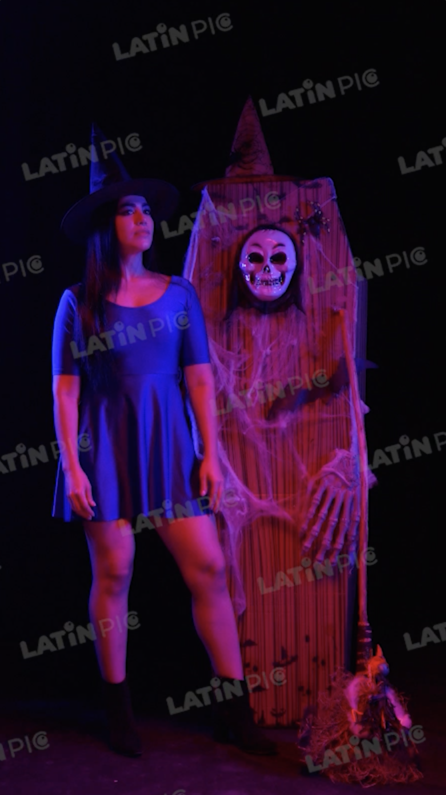 halloween-bruja-ataud-escoba-72